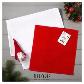 Набор полотенец Lovelife «Волшебник» : вафля 35х60 см, махра 30х30 см + игрушка