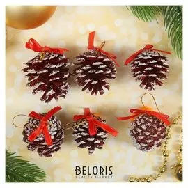 Набор природного декора "Заснеженые шишки", с бантиком, набор 6 шт.