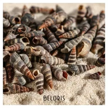 Набор ракушек Батиллярия, 100 г