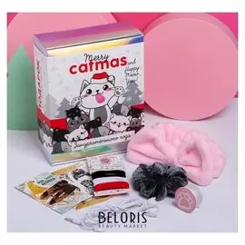 Набор с электроникой в подарочной коробке Merry Catmas, 16 х 6,7 х 20 см