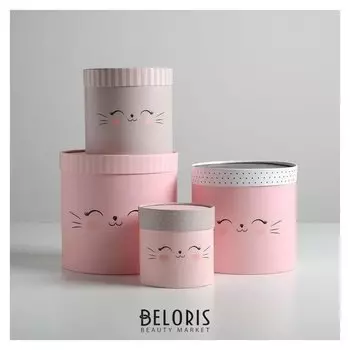 Набор шляпных коробок 4 в 1 «Мордочки», 12 х 12 - 20 х 20 см