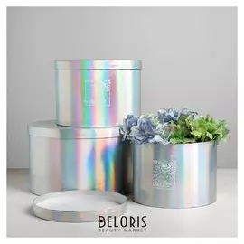 Набор шляпных коробок для цветов 3 в 1 с голографией «Чудесные цветы», 18 × 13 см - 25 × 15 см