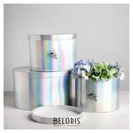 Набор шляпных коробок для цветов 3 в 1 с голографией «Геометрия», 18 × 13 см - 25 × 15 см