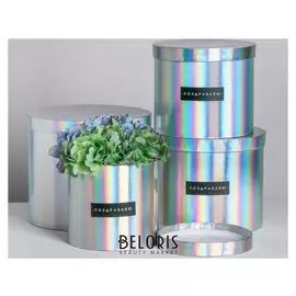 Набор шляпных коробок для цветов 4 в 1 с голографией «Поздравляю!», 14 × 13 см - 20 × 17,5 см