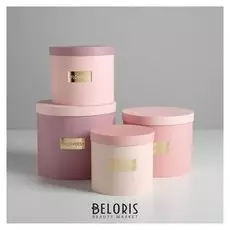 Набор шляпных коробок для цветов 4 в 1 «Нежные тона», 14 × 13 см - 20 × 17,5 см