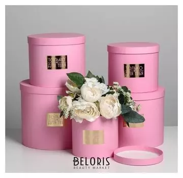 Набор шляпных коробок для цветов 5 в 1 «Нежность», 14 × 13 см - 22 × 19,5 см