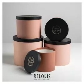 Набор шляпных коробок для цветов 5 в 1 «Нежный нюд», 14 × 13 см - 22 × 19,5 см