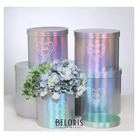 Набор шляпных коробок для цветов 5 в 1 с голографией «Сердце любви», 14 × 13 см - 22 × 19,5 см