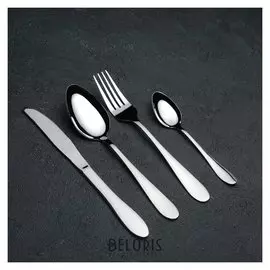 Набор столовых приборов «Моника», 4 предмета
