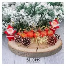 Набор украшений пластик 16 шт "Сюрприз" (4 шишки, 5 шаров, 5 колокольчиков, 2 деда мороза)