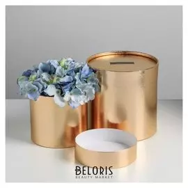 Набор золотых шляпных коробок 2 в 1 «Поздравляю», 12 х 12, 15 х 15 см