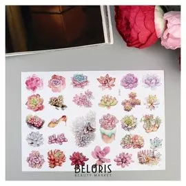 Наклейка бумага "Суккуленты" 14,8х21 см