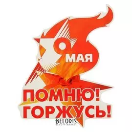 Наклейка на авто "9 мая. помню! горжусь!" 240х120мм