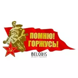 Наклейка на авто "Помню! грожусь! красное знамя" 480x247 мм
