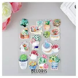 Наклейка пластик, картон 6D с блёстками "Суккуленты" 25х17 см