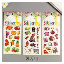 Наклейка пластик выпуклая с золотыми линиями "Цветы/фрукты/звери" 23,5х10 см