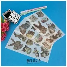 Наклейки "Cuties"