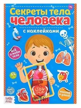 Наклейки «Секреты тела человека», 16 стр.