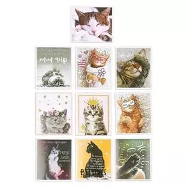 Наклейки стикеры «Котики», 6 × 7 см, 10 шт