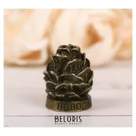 Напёрсток сувенирный «Новосибирск», латунь