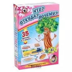 Настольные игры «Что? откуда? почему?»