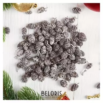 Новогодний декор "Шишки", серебро, набор 50 г