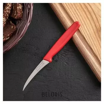 Нож для чистки овощей «Эконом», лезвие 7,3 см