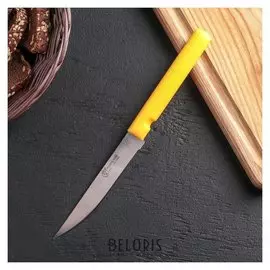 Нож «Эконом», лезвие 11,5 см