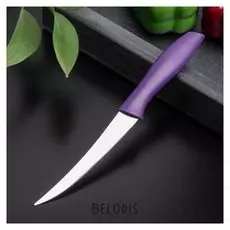 Нож кухонный для цитрусовых «Ария», лезвие 12 см