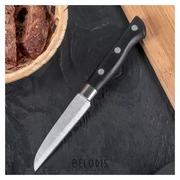 Нож кухонный «Кронос», лезвие 9 см