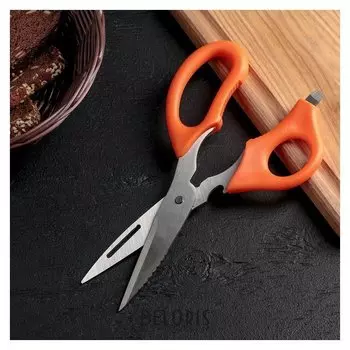 Ножницы кухонные «Фил», 22 см, универсальные 6 в1