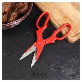 Ножницы кухонные «Вега», 20 см