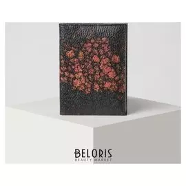 Обложка для автодокументов, цвет чёрный