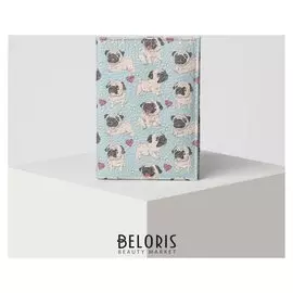 Обложка для автодокументов, цвет голубой