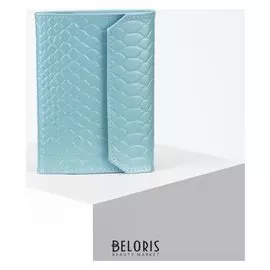 Обложка для автодокументов, цвет голубой