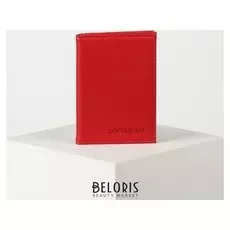 Обложка для автодокументов, цвет красный