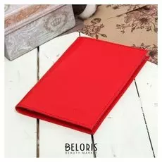 Обложка для автодокументов, цвет красный