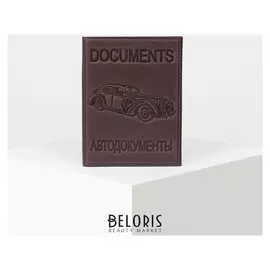 Обложка для автодокументов, с вкладышем, цвет конгрев коричневый