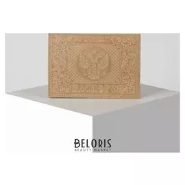 Обложка для паспорта, 9,5*0,2*13,5, герб, бежевый