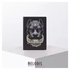 Обложка для паспорта, цвет чёрный