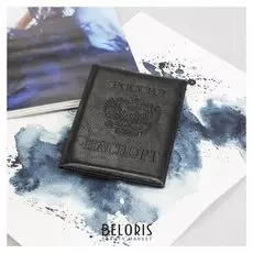 Обложка для паспорта, цвет чёрный