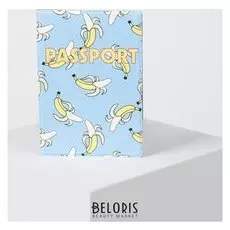 Обложка для паспорта, цвет голубой