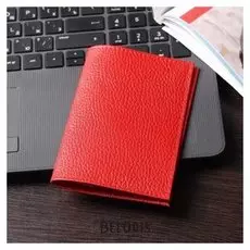 Обложка для паспорта, цвет красный
