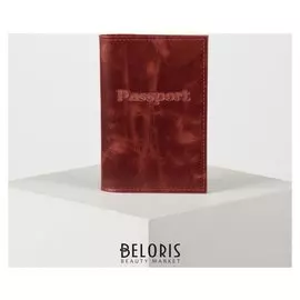 Обложка для паспорта, цвет красный