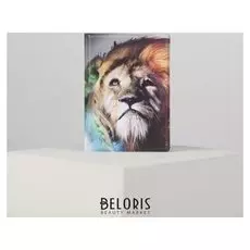 Обложка для паспорта, цвет разноцветный