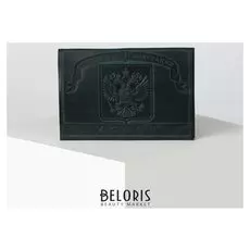 Обложка для паспорта, цвет зелёный