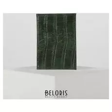 Обложка для паспорта, цвет зелёный