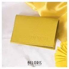 Обложка для паспорта, флотер, цвет жёлтый