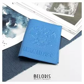 Обложка для паспорта, герб, флотер, цвет голубой