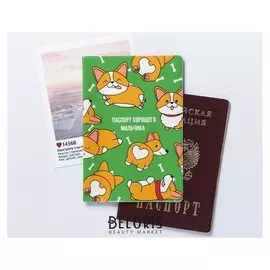 Обложка для паспорта "Паспорт хорошего мальчика"